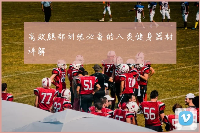 高效腿部训练必备的八类健身器材详解