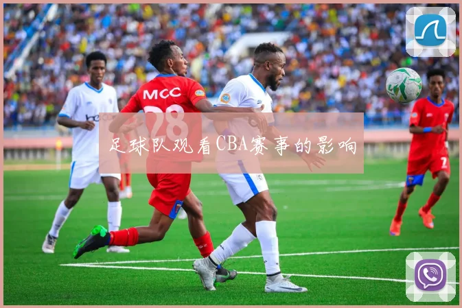 足球队观看CBA赛事的影响