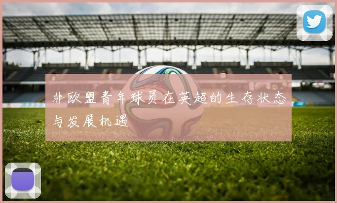 非欧盟青年球员在英超的生存状态与发展机遇