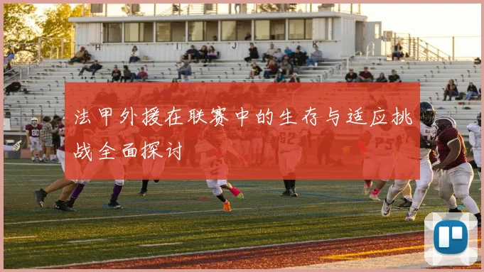 法甲外援在联赛中的生存与适应挑战全面探讨