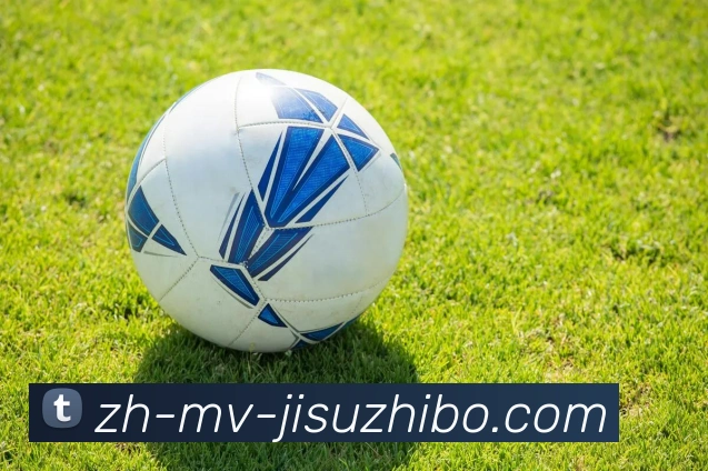 极速直播平台生态图